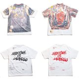 ☆SEVESKIG より新作入荷☆