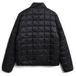 TAION タイオン 通販