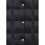 TAION タイオン 通販