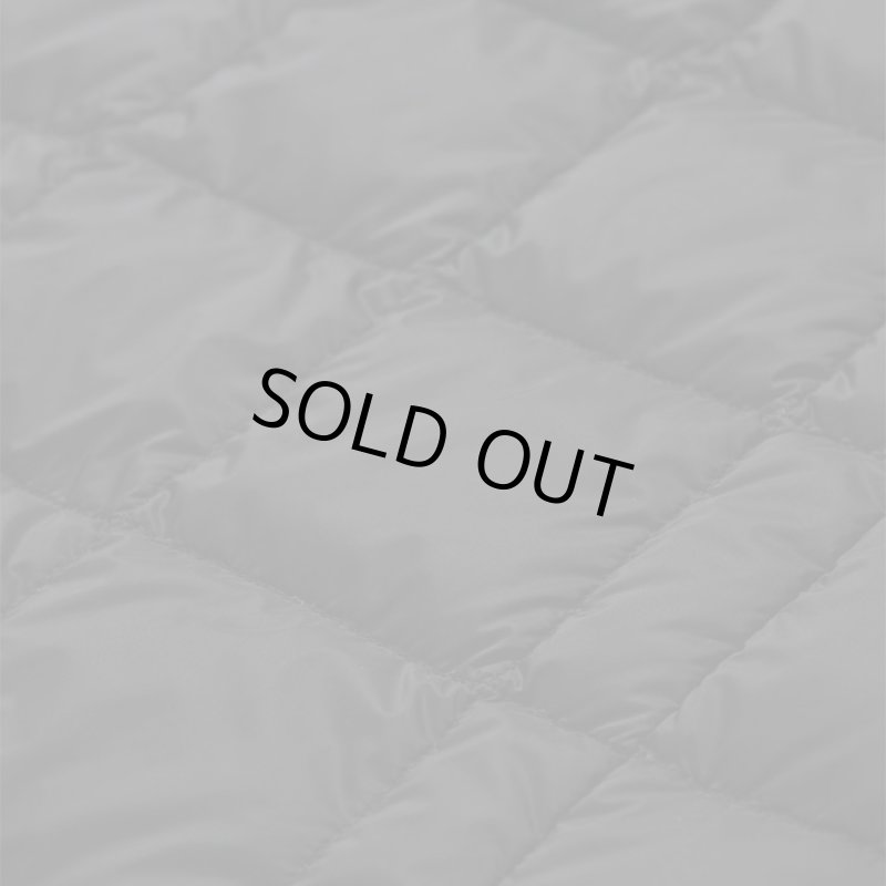 TAION タイオン 通販