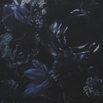 ラッドミュージシャン LADMUSICIAN 通販 正規取扱い INCENSE 神戸