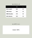 画像13: 【glamb 2025 Autumn先行予約】glamb グラム / Turtle Neck Raglan Knit (2色展開) (13)
