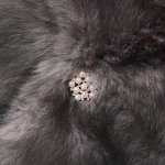 elconductorH コンダクター 通販 神戸