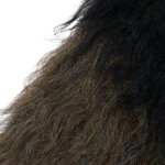 ラッドミュージシャン LADMUSICIAN 通販 正規取扱い INCENSE 神戸