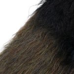 ラッドミュージシャン LADMUSICIAN 通販 正規取扱い INCENSE 神戸