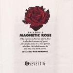 SEVESKIG セヴシグ 通販 神戸