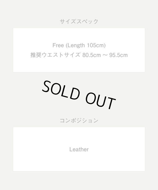 画像11: 【glamb 2026 Summer先行予約】glamb グラム / Hair Calf Belt (2色展開) (11)