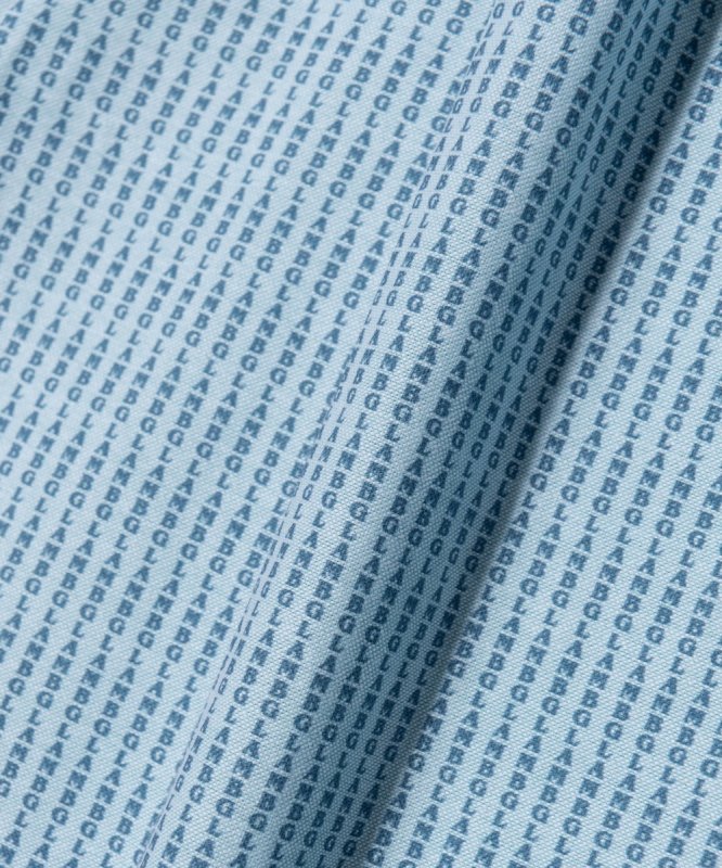 画像11: 【glamb 2026 Autumn先行予約】glamb グラム / Stripe Logo Oxford Shirt (2色展開) (11)