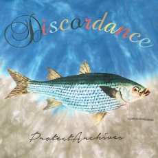 Childrenofthediscordance チルドレンオブザディスコーダンス 通販 神戸