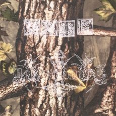 Childrenofthediscordance チルドレンオブザディスコーダンス 通販 神戸