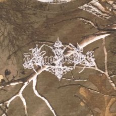 Childrenofthediscordance チルドレンオブザディスコーダンス 通販 神戸