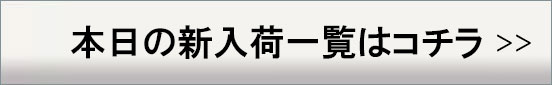 ラウンジリザード